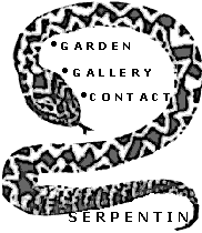 Schlange